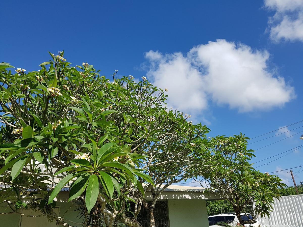 Saipan Family Residence Susupe ภายนอก รูปภาพ